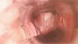 Porno Amateur d'un c ...
