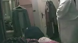 Deux jeunes chiennes ...